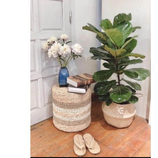 (Loại không xẹp lún) Đôn lục bình đan mix nhiều kích thước