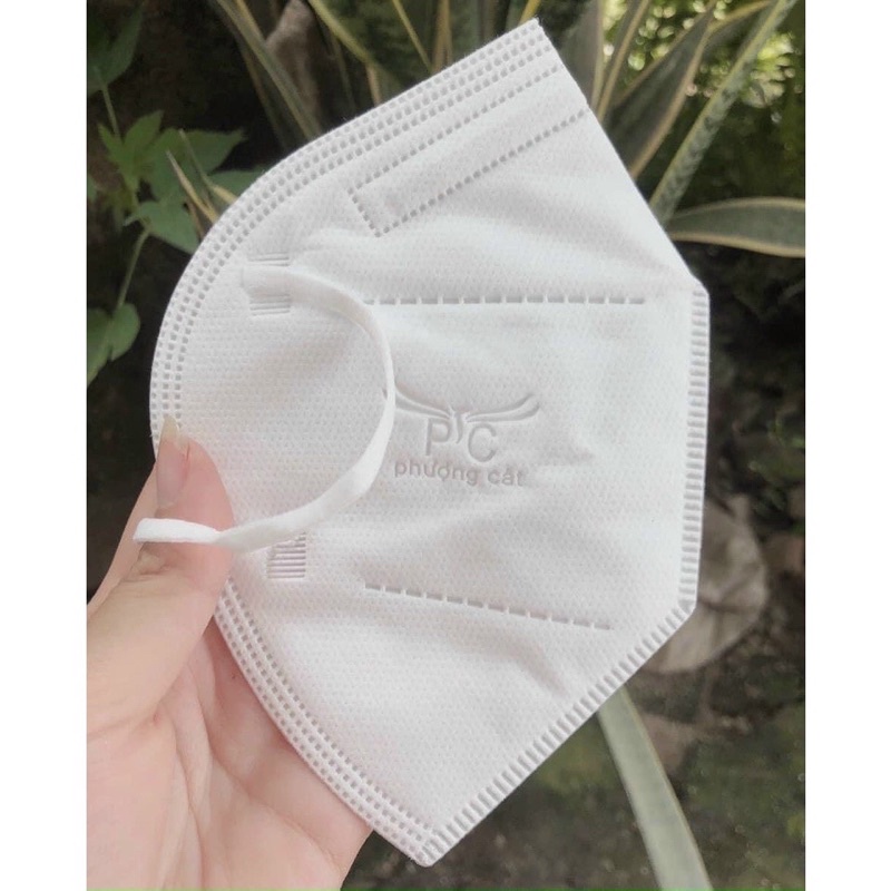 Khẩu Trang N95 Phượng Cát