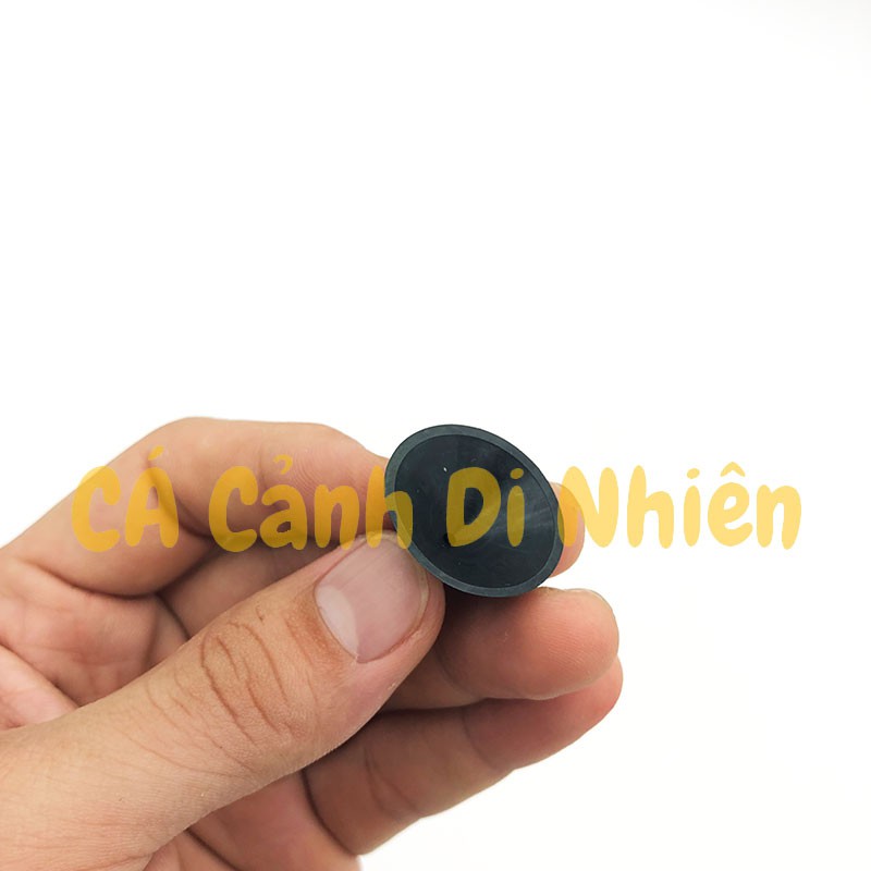 Hít kính GIỮ MÁY BƠM LỌC NƯỚC cho hồ bể cá cảnh - Hít Đế Máy bơm