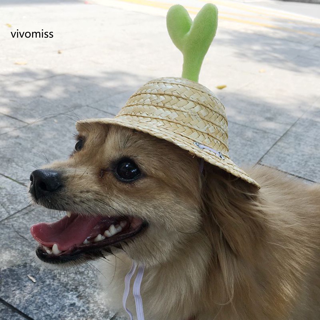 Nón Rơm Đan Kèm Dây Đeo Có Thể Điều Chỉnh Dành Cho Cún Cưng