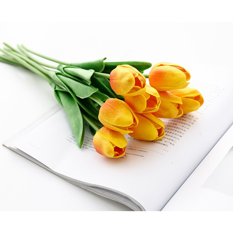 Hoa tuylip phụ kiện chụp ảnh