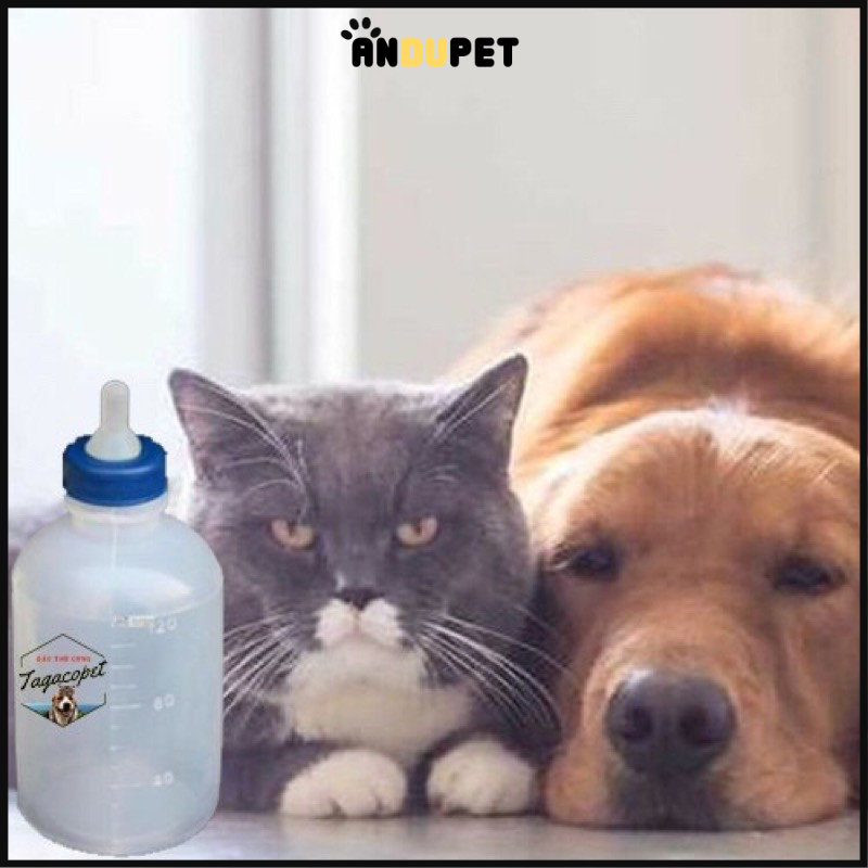 🐱 BÌNH TI SỮA CHO MÈO SƠ SINH 120ml🐱