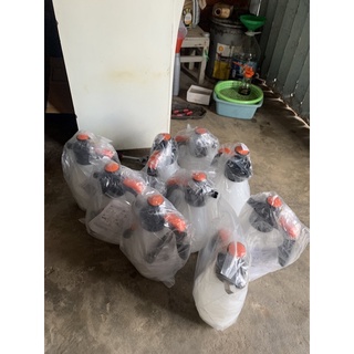 bình rửa xe bọt tuyết