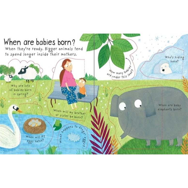 Sách - Anh: Lift the flap Where do babies come from?