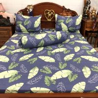 Ga chống thấm cotton Su Su