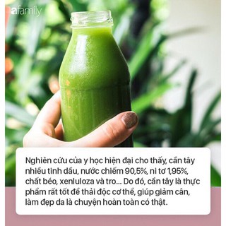 BỘT CẦN TÂY NGUYÊN CHẤT|Sấy Lạnh (hộp 500g)