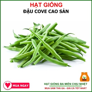 Hạt Giống Đậu Cove Cao Sản 20Gram