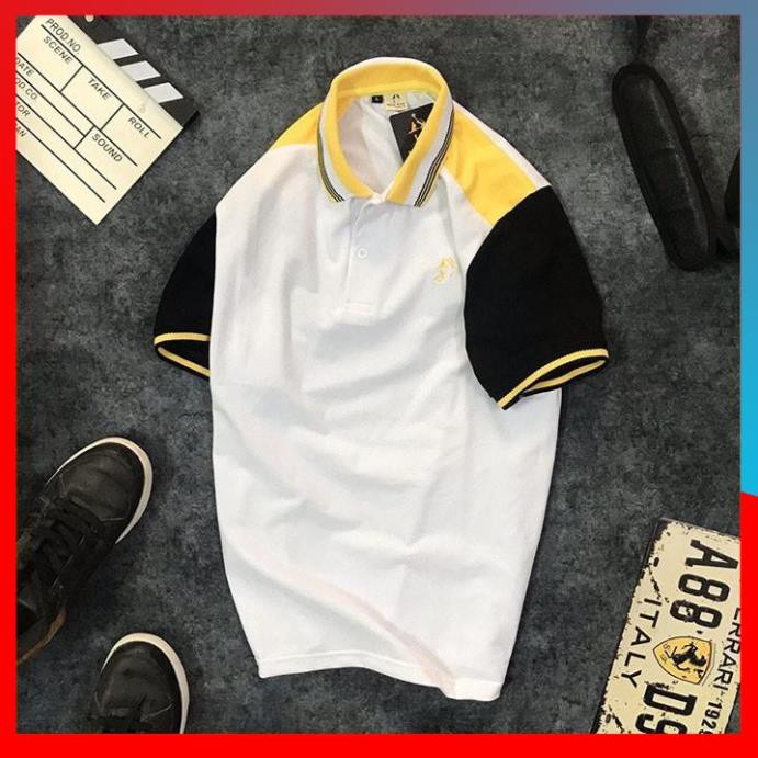 Áo Thun Nam ✴️FREESHIP – HÀNG CHẤT✴️ Cổ Bẻ Tay Ngắn  Phối 3 Màu In Logo, Thun Cá Sấu 65/35 4 Chiều Cao Cấp - GM | BigBuy360 - bigbuy360.vn