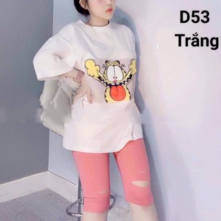 đồ lửng thun thái dẻo B53