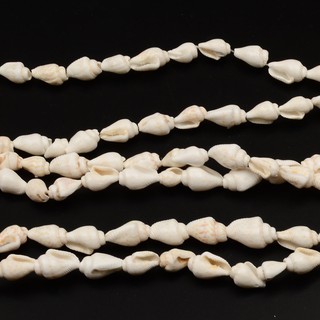 Set 160 Vỏ Ốc Làm Trang Sức
