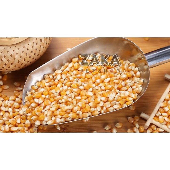 Bắp hạt 100g cho hamster, sóc