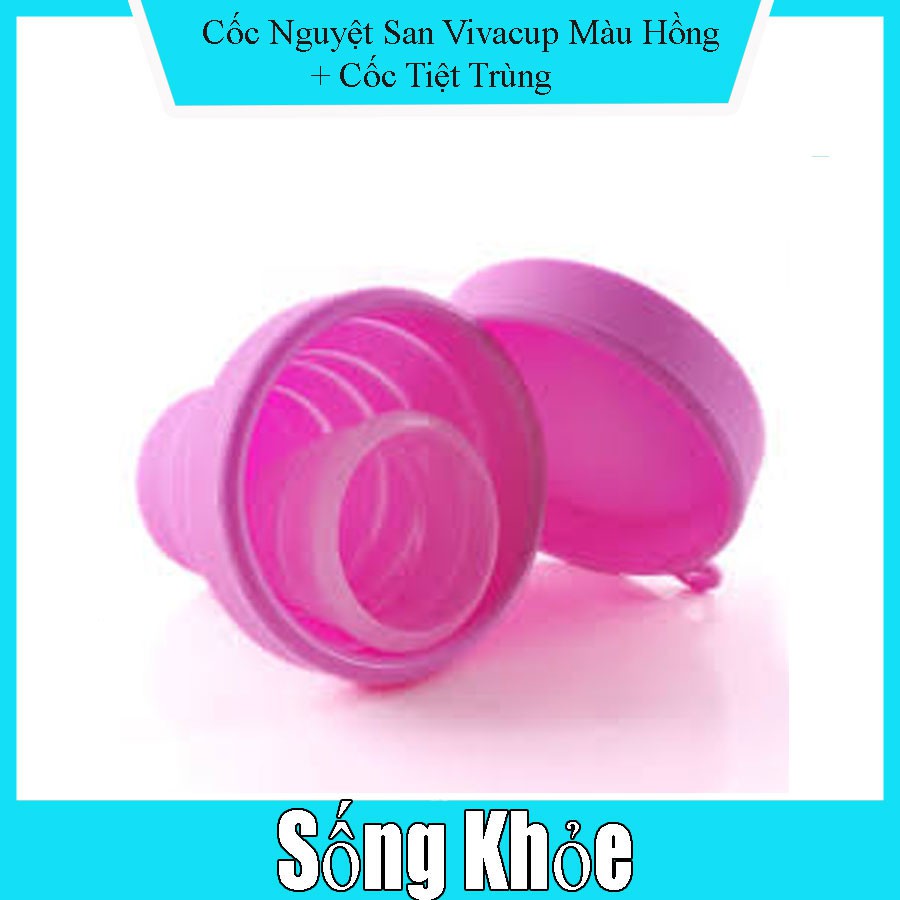 Cốc nguyệt san Vivacup, tặng cốc tiệt trùng xếp cực xinh xắn