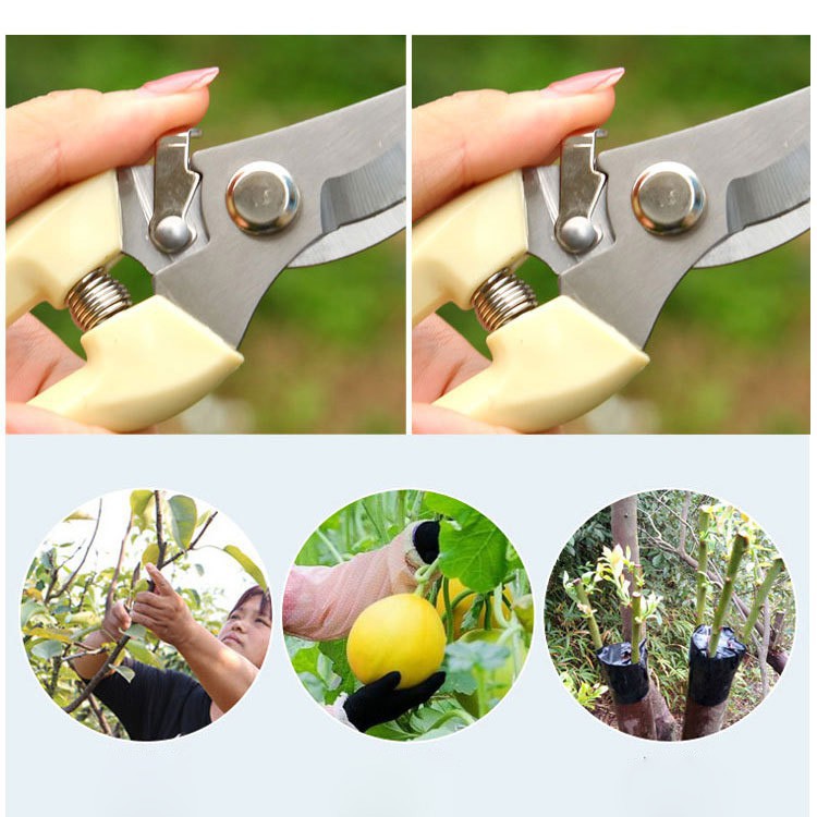 Kéo Cắt Tỉa Cành Cây Chuyên Dụng - Chất liệu Thép Chống Gỉ Siêu Bền, Tiện Lợi