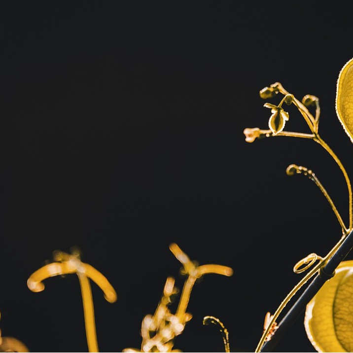 sam999, Cửa hàng trực tuyến | BigBuy360 - bigbuy360.vn