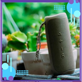Loa bluetooth jbl flip 5,6 nongtri359