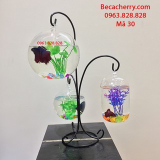 Bể Cá Mini Tam Trụ -30 (Tặng Phụ Kiện Trang Trí)