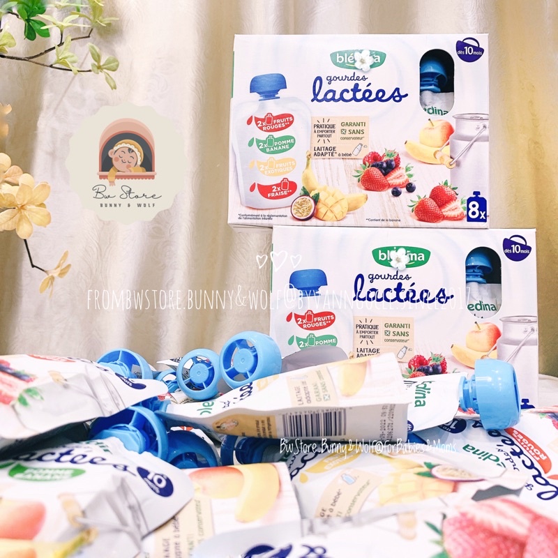 Sữa Chua Hoa Quả Bledina Gourdes Lactees Pháp cho bé từ 10m+ - Túi 85g