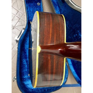 Đàn Guitar Acoustic Morris W-30
