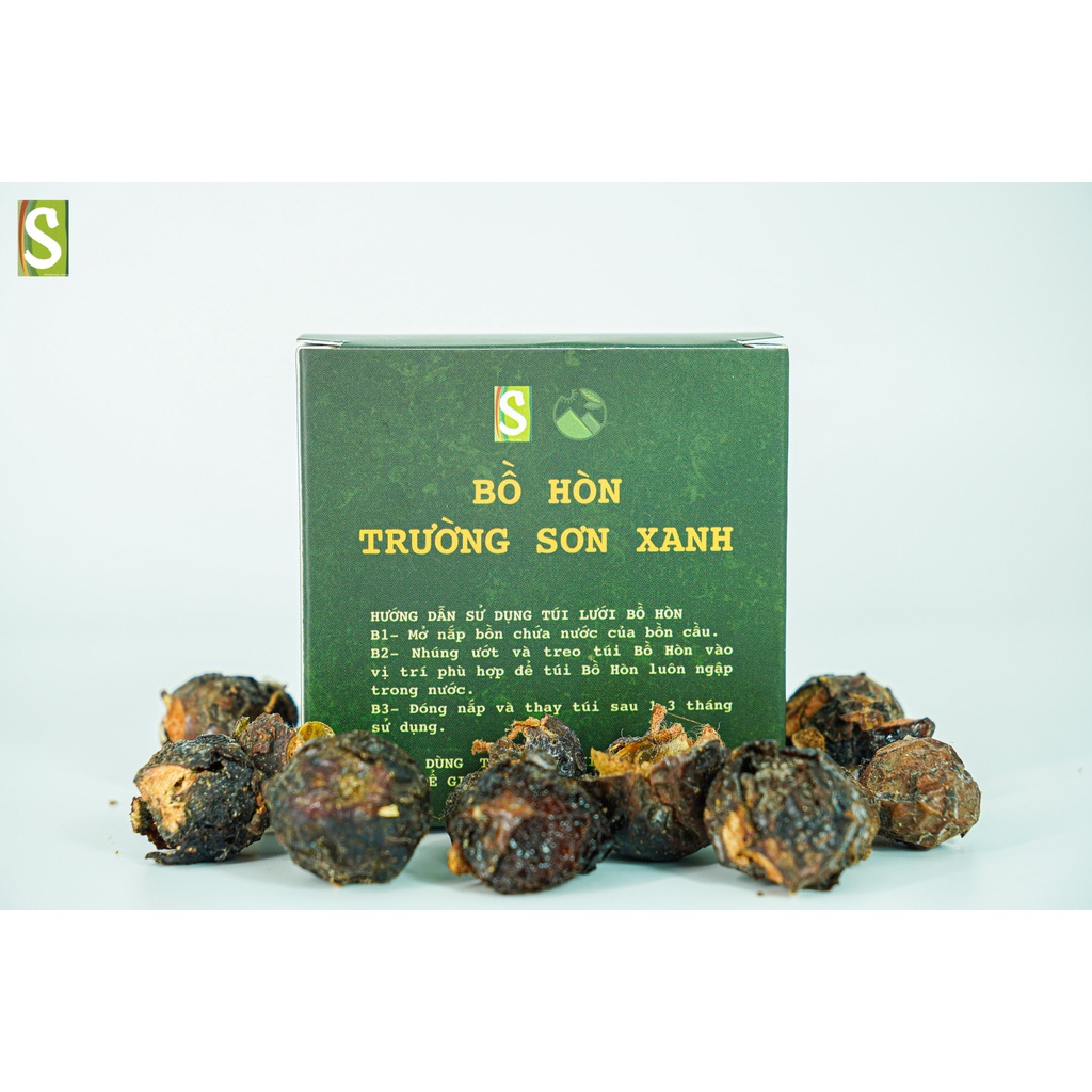 Quả bồ hòn khô Trường Sơn Xanh kèm túi lưới tiện dụng