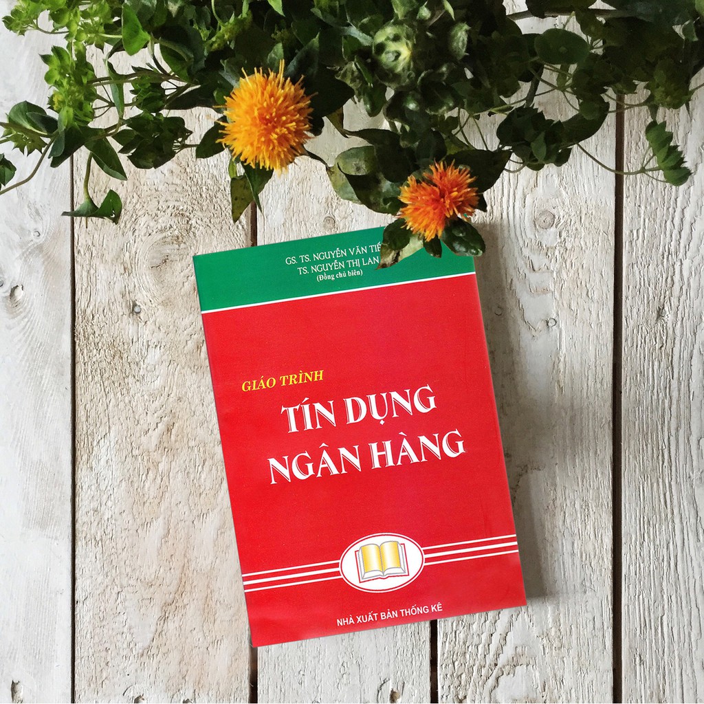 Sách - Giáo Trình Tín Dụng Ngân Hàng ( Nguyễn Văn Tiến )