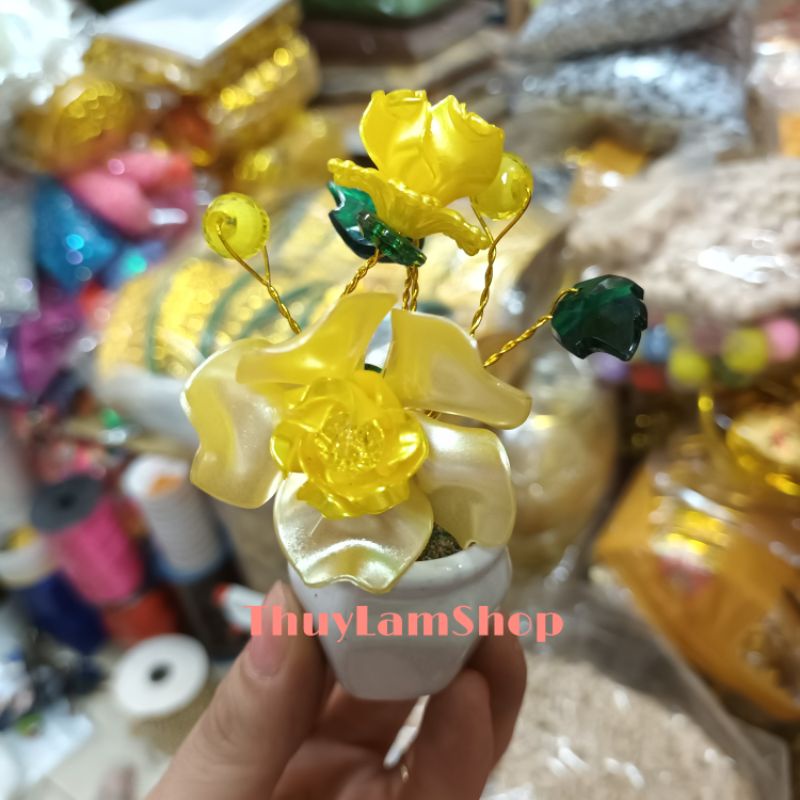 Chậu gốm sứ bình bông mai mini xinh xinh để bàn hút may mắn