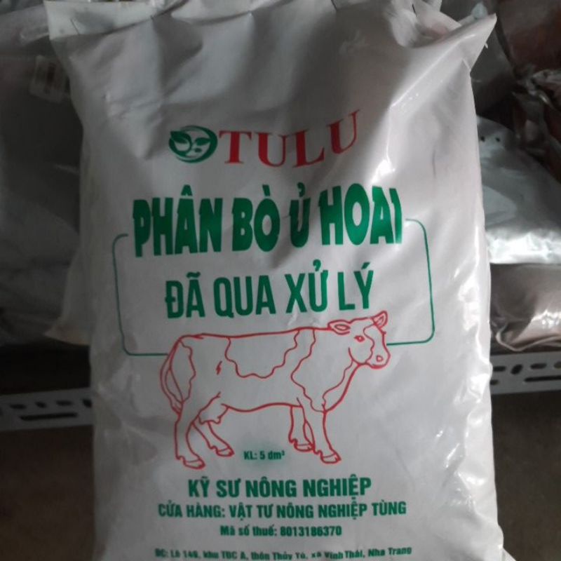 Phân bò ủ hoài Tulu