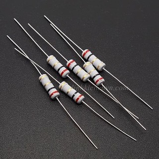 Điện trở 2R 1W