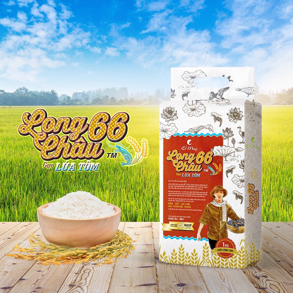 Gạo Long Châu 66 Lúa tôm