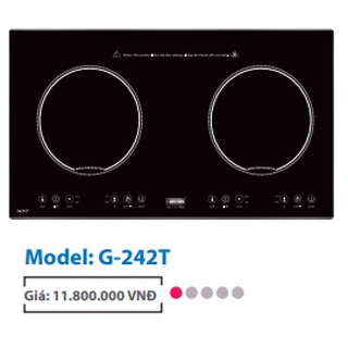 Bếp Điện Từ GIOVANI G-242T