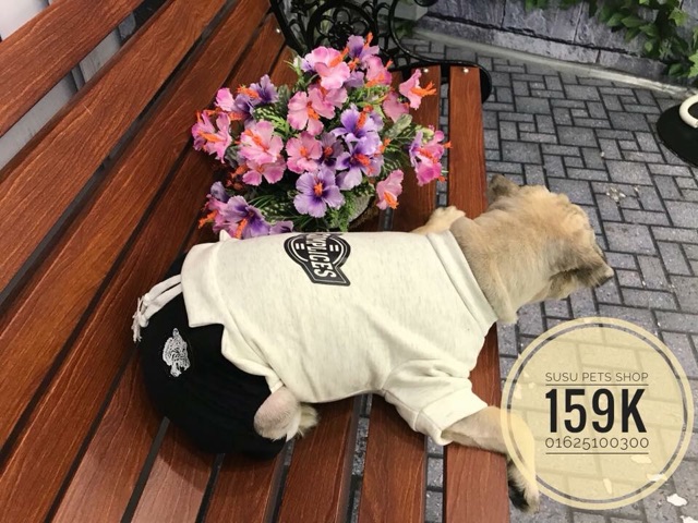 Bộ liền quần thể thao cho thú cưng