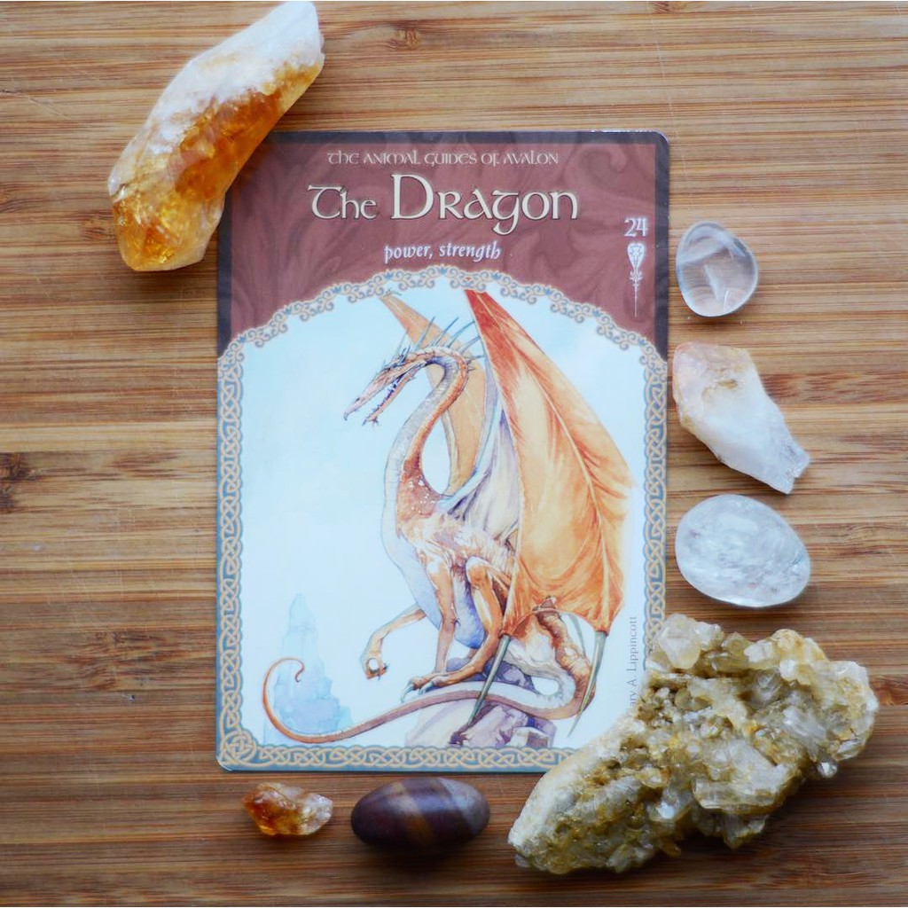 Bộ Bài Wisdom Of Avalon Oracle Cards (Mystic House Tarot Shop)