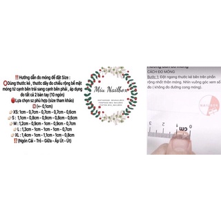 Móng giả thiết kế gấu