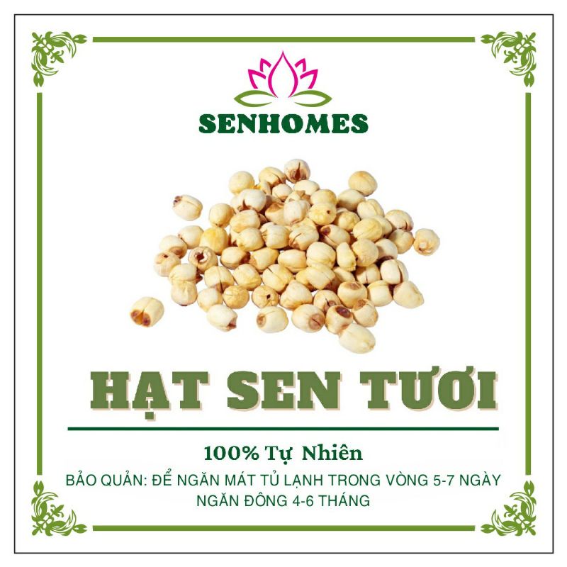 0.5KG Hạt Sen Tươi Tách Vỏ - Bỏ Tim -Bùi Vị Ngọt Thanh SENHOMES GROUP
