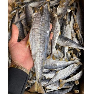 1kg Khô cá thu thịt dai chắc đều con