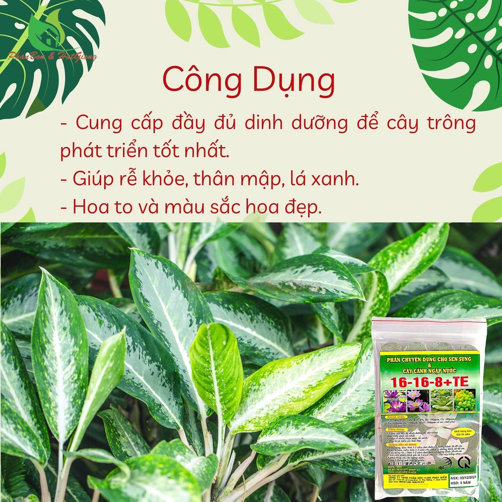 Phân Bón Hoa Sen Hoa Súng Và Cây Ngập Nước NPK 16-16-8+TE Gói 24 Viên - Shop Phân Bón và Hạt Giống