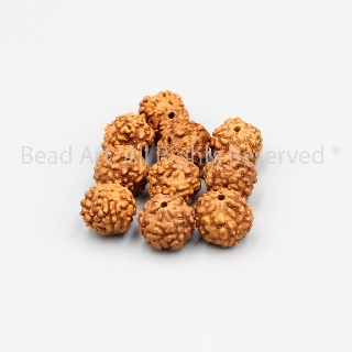 [10 Hạt] Kim Cang Bồ Đề (Rudraksha) Tự Nhiên Đủ Size 6-7-8-9-10MM, Làm Vòng Tay, Trang Sức Phong Thuỷ, Chuỗi Hạt S40