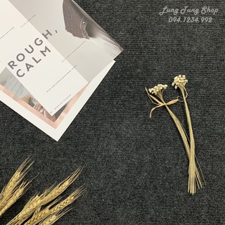 Thảm chụp hình ảnh sản phẩm - phông nền chụp hình ảnh nỉ đen