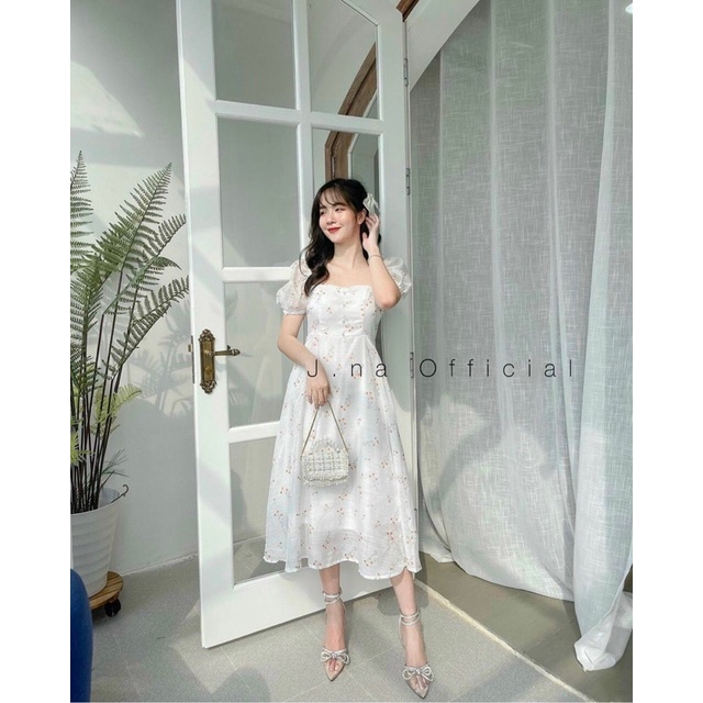 ĐẦM HOA NHÍ ĐÍNH NÚT