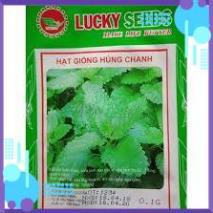 HẠT GIỐNG HÚNG CHANH GÓI 0,1G