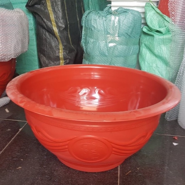 Combo 5 Chậu nhựa T48 trồng hoa, cây cảnh