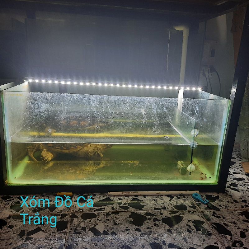 Đèn 30cm đến 120cn,  led chuẩn Caibao chìm nước hồ cá. Trắng xanh - 3 Màu - Hồng - Trắng - Xanh dương.1 đền 1 nếu vỡ.