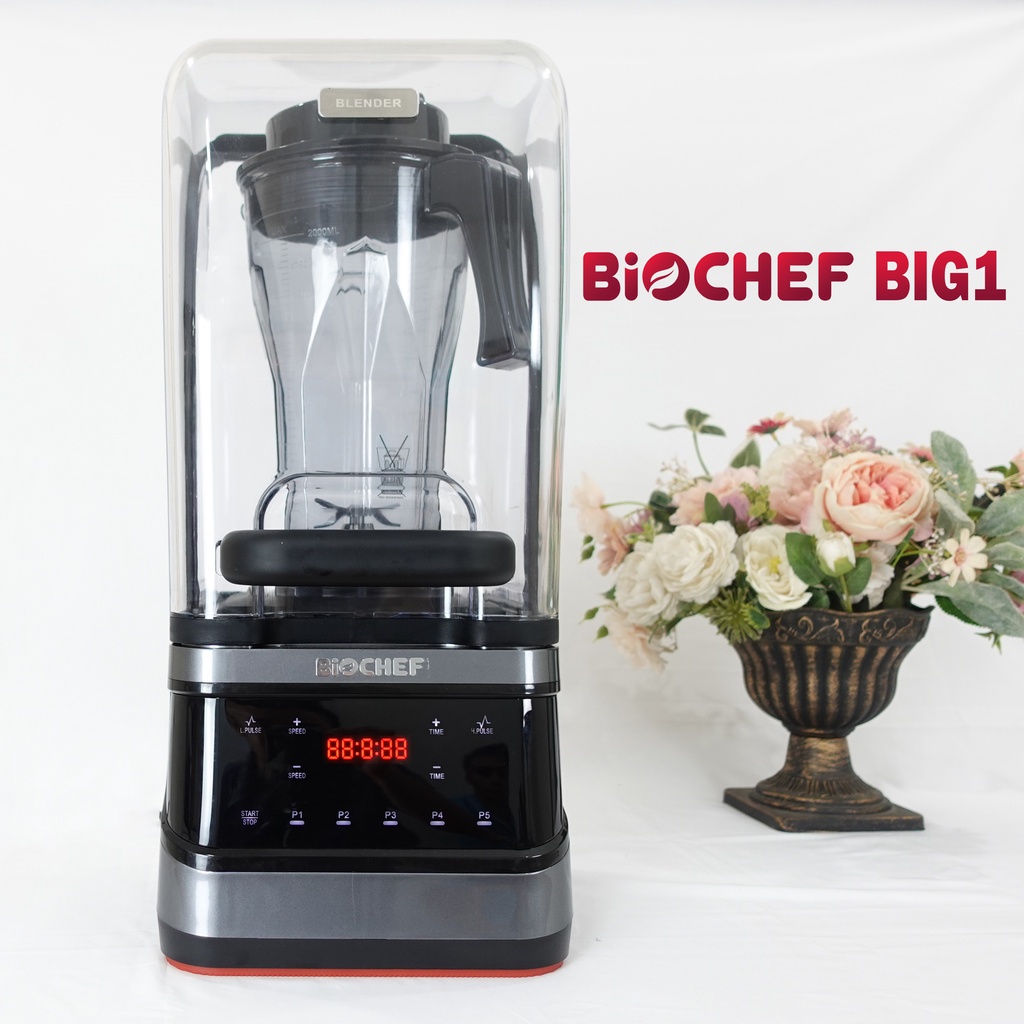 Máy xay sinh tố công nghiệp Biochef BIG 1