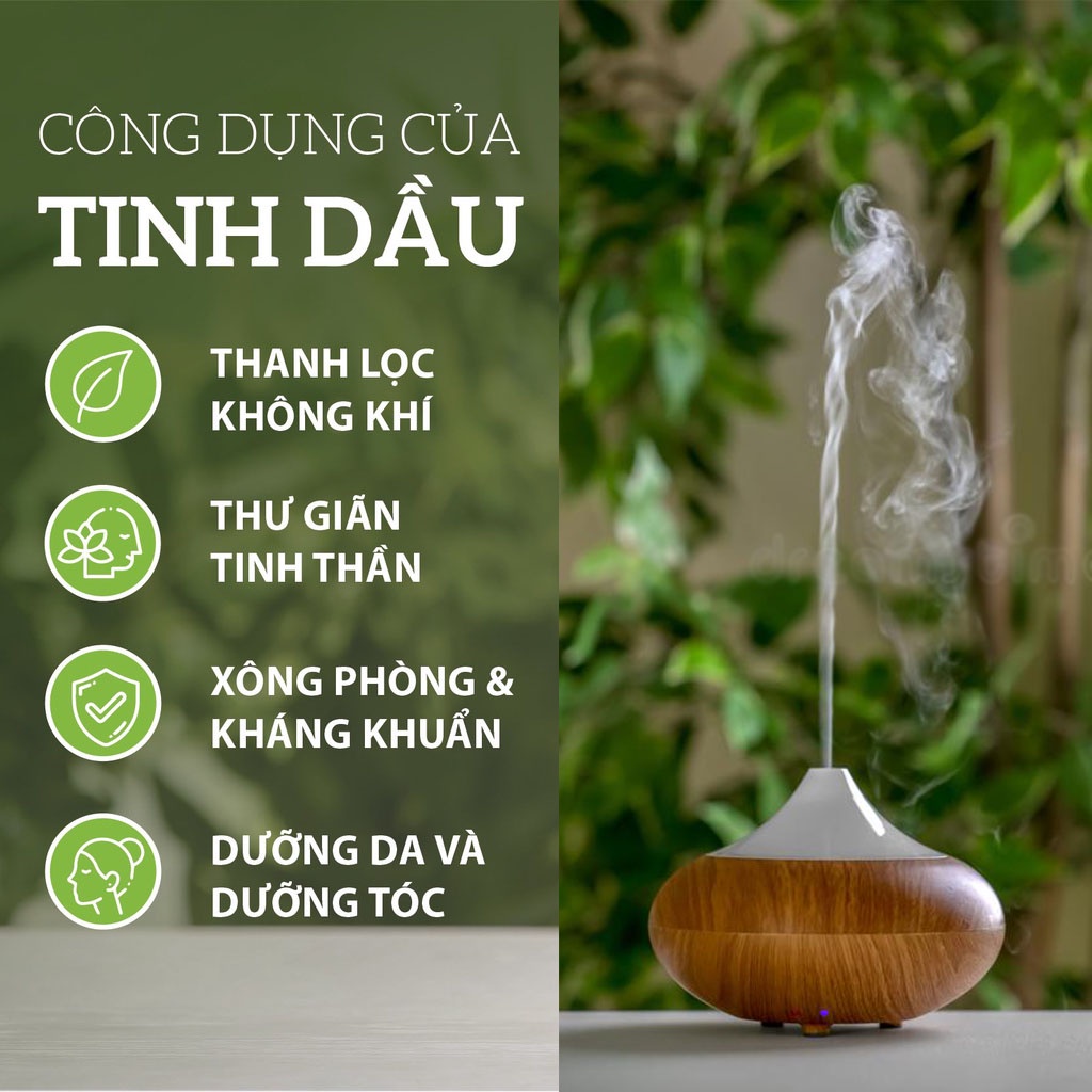 Tinh Dầu Thiên Nhiên 10ml nguyên chất - Nhập Khẩu - Thơm Phòng - Dùng cho đèn xông - máy xông - máy khuếch tán tinh dầu