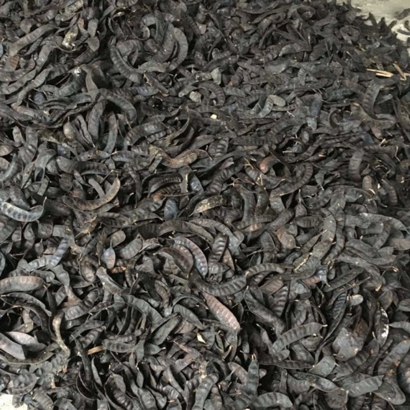 Tinh dầu gội thảo dược | BigBuy360 - bigbuy360.vn