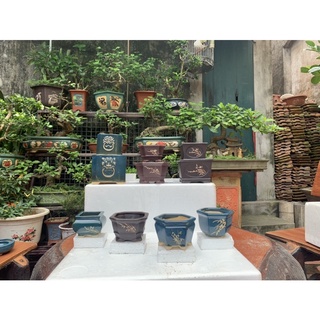 Bộ 10 chậu trông cây bonsai- Chậu trồng cây bonsai - chậu trồng sen đá - chậu cảnh bonsai