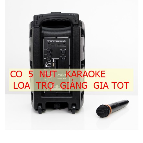 Loa Kéo Bluetooth SOUNDMAX  M1 M2