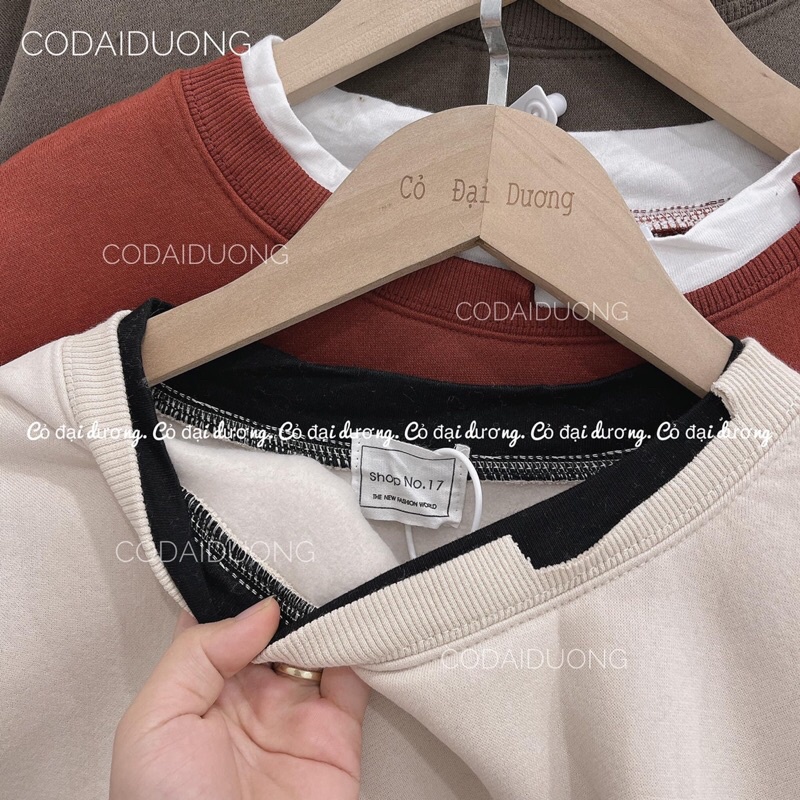 áo nỉ SWT everlast | BigBuy360 - bigbuy360.vn