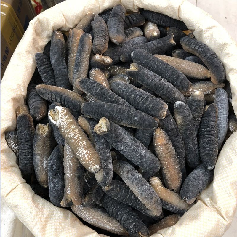 Hải sâm khô Úc ( 100g size 10 - 12 con ) | BigBuy360 - bigbuy360.vn