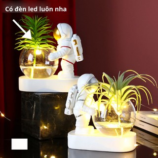 [SO HOT SO CUTE] CHẬU CÂY THỦY SINH SIÊU PHONG CÁCH- PHI HÀNH GIA/ THỢ LẶN