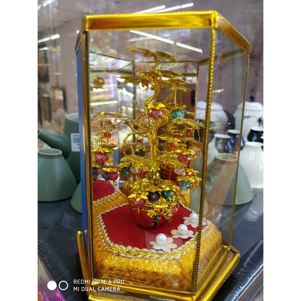 Hộp cây tiền như ý phong thủy mang tài lộc đặt phòng khách, ban thờ, ban thờ thần tài, két sắt, bàn làm việc